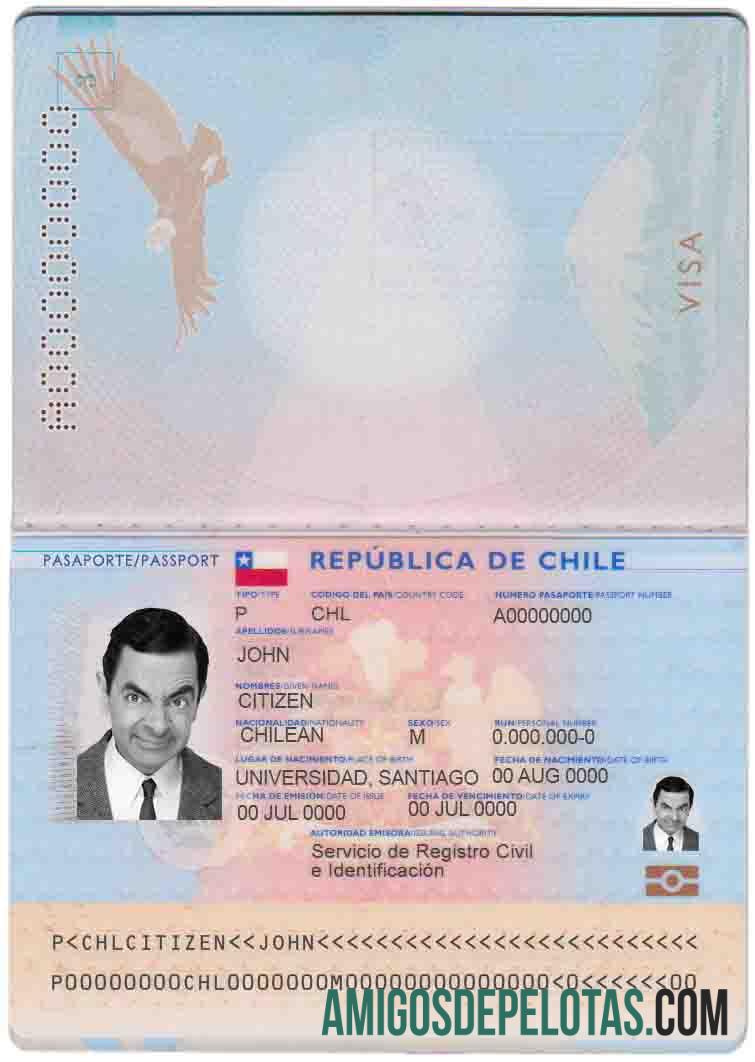 Passaporte Chileno baixar para verificação